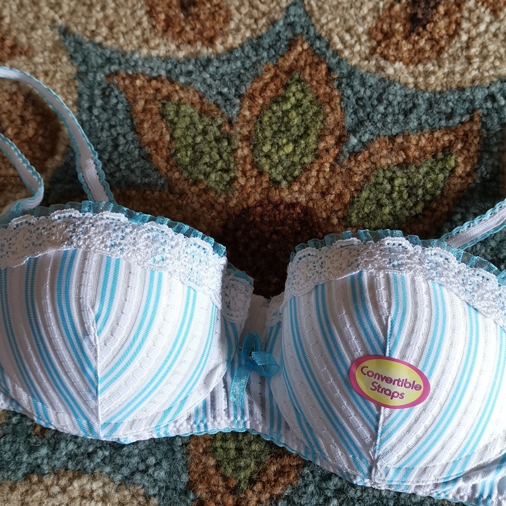 Rene Rofe Convertible White & Blue Bra - Picture 2 of 13